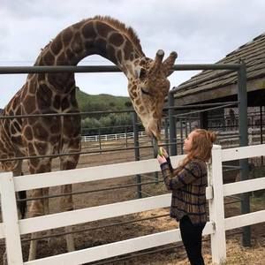 Meet your Posher, Lacey